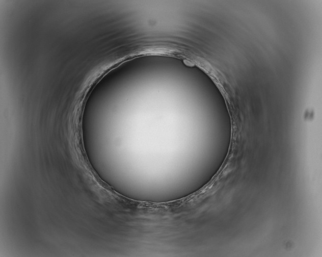 X0000103170337200808221239