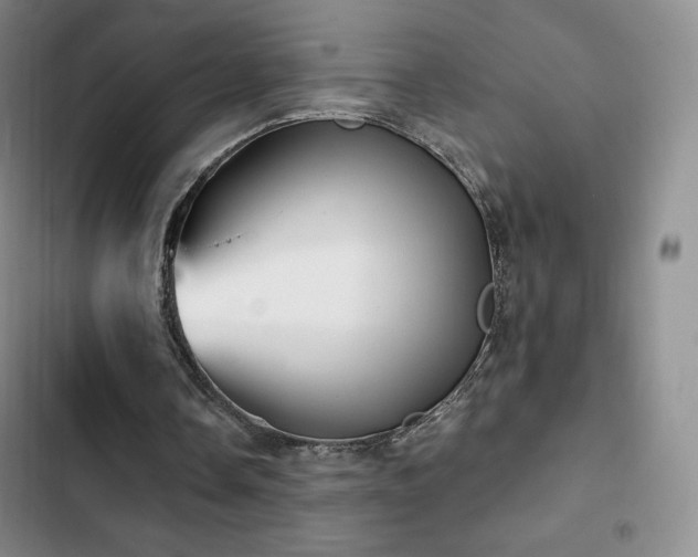 X0000103170338200808221239