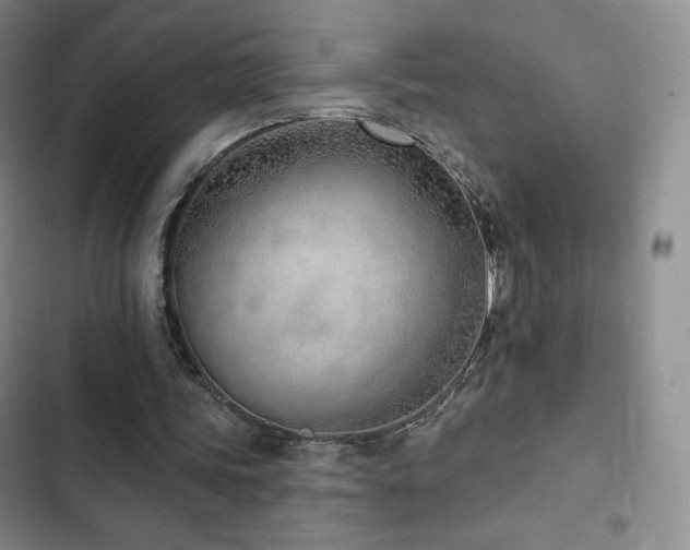 X0000103170339200808221239