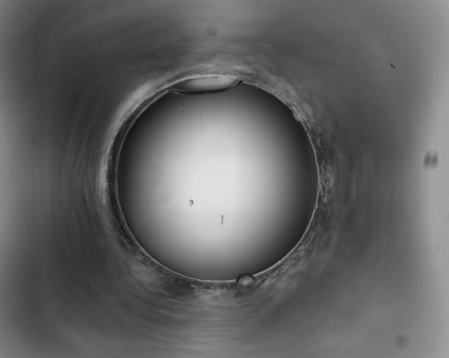 X0000103170340200808221239