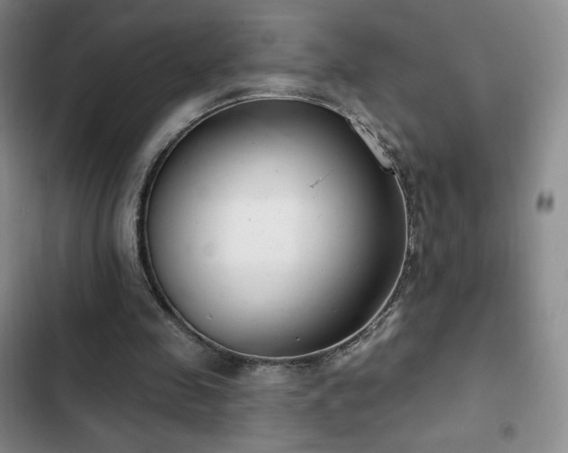 X0000103170341200808221239