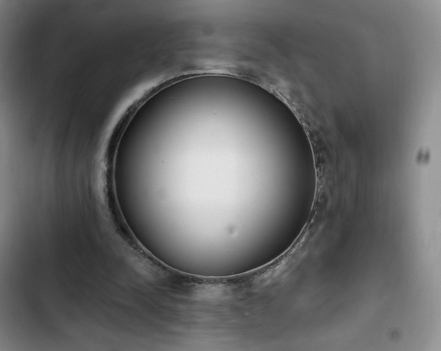 X0000103170342200808221239