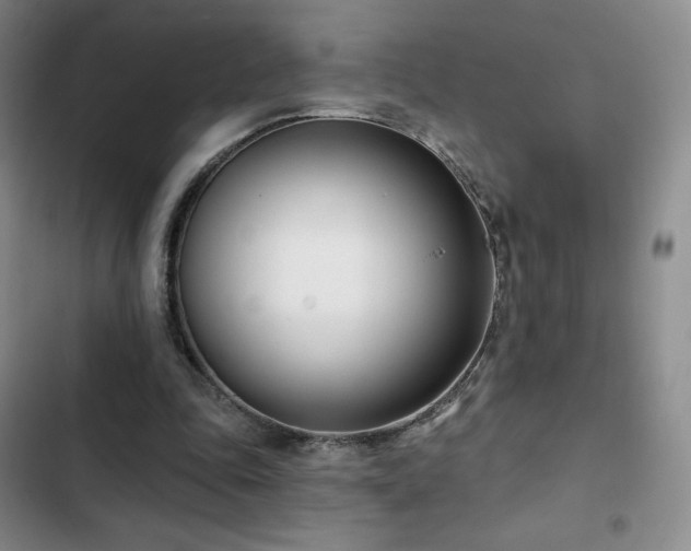 X0000103170343200808221239