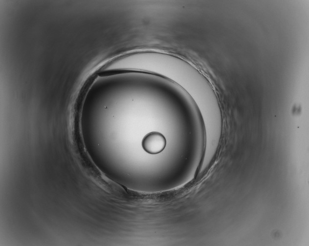 X0000103170344200808221239