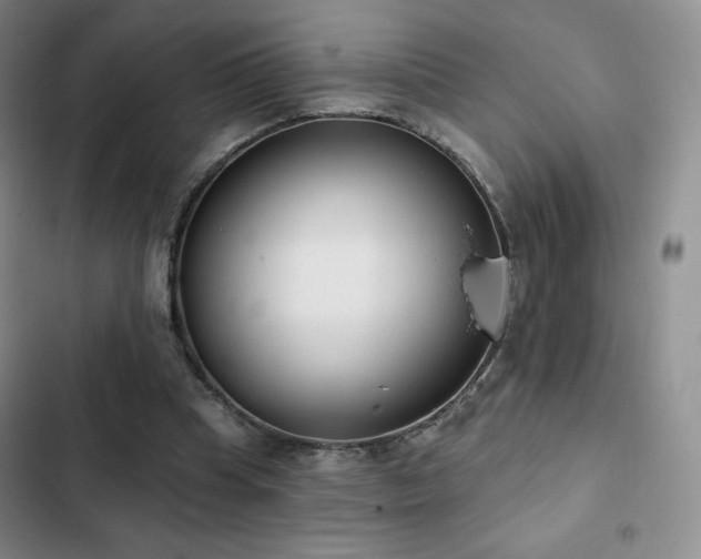 X0000103170345200808221239