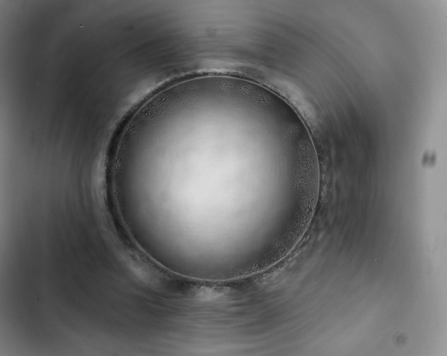 X0000103170346200808221239