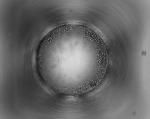 X0000103170347200808221239