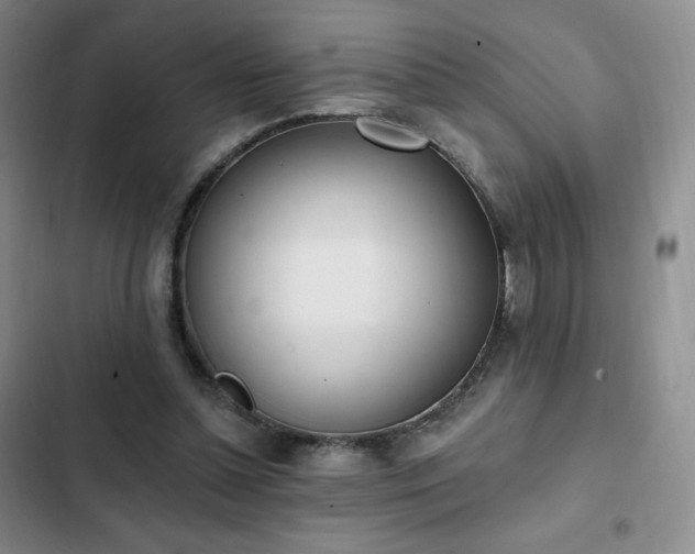 X0000103170348200808221240