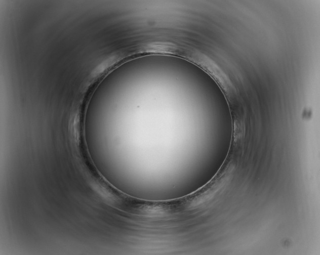 X0000103170349200808221240