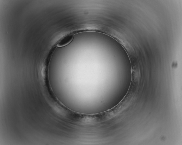 X0000103170350200808221240