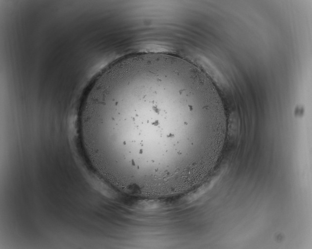 X0000103170351200808221240