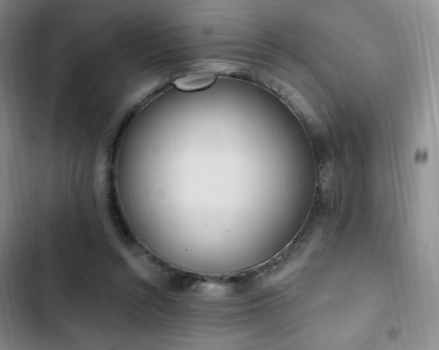 X0000103170352200808221240