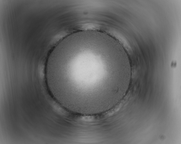 X0000103170353200808221240