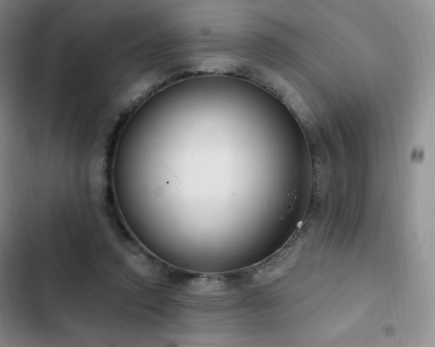 X0000103170354200808221240