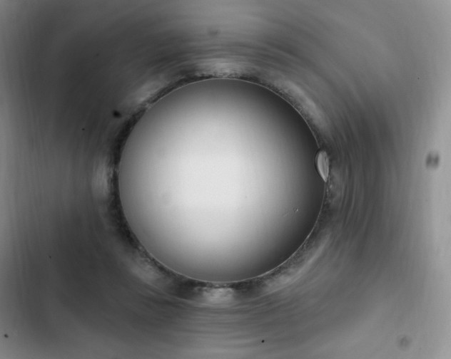 X0000103170355200808221240