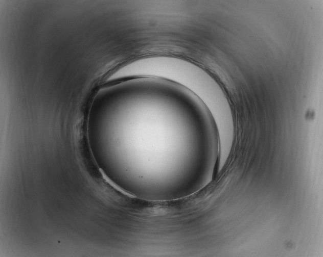 X0000103170356200808221240