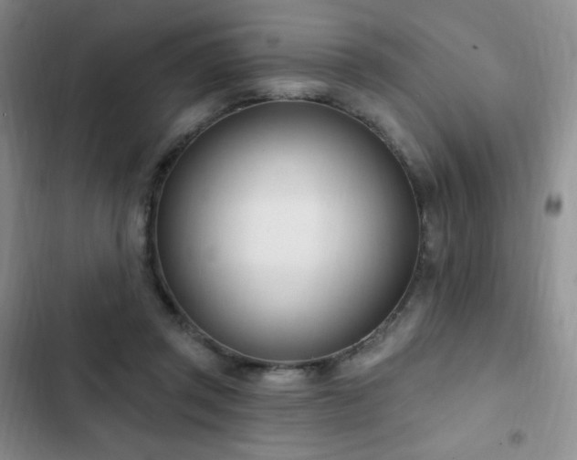 X0000103170357200808221240