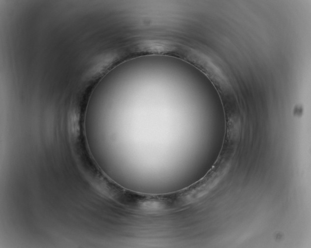 X0000103170358200808221240