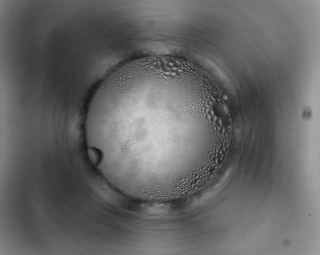 X0000103170359200808221240