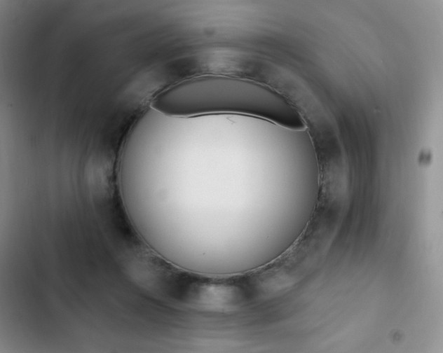 X0000103170360200808221240