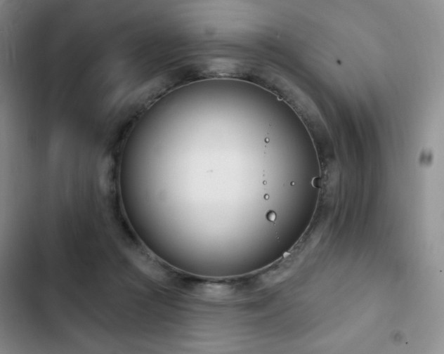 X0000103170361200808221240