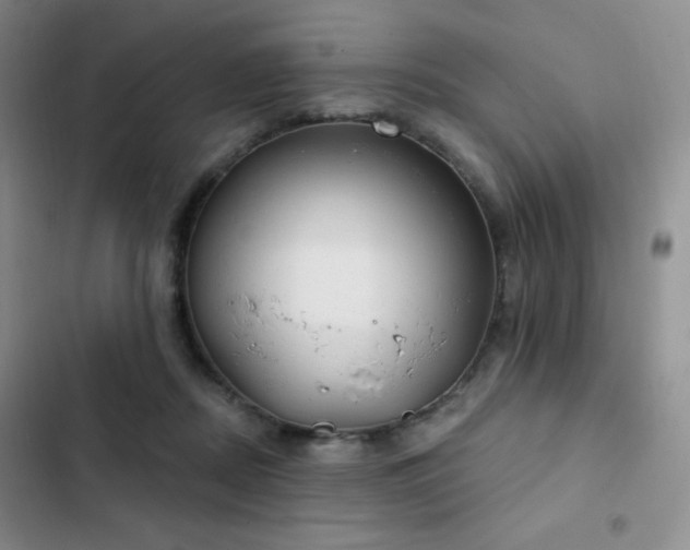 X0000103170362200808221240