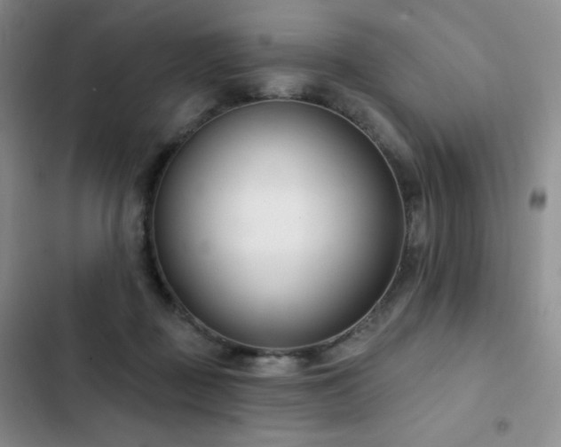 X0000103170363200808221240