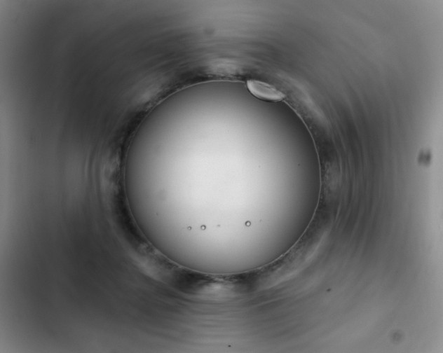 X0000103170364200808221240