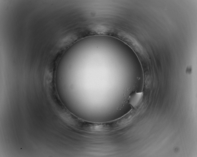 X0000103170365200808221240