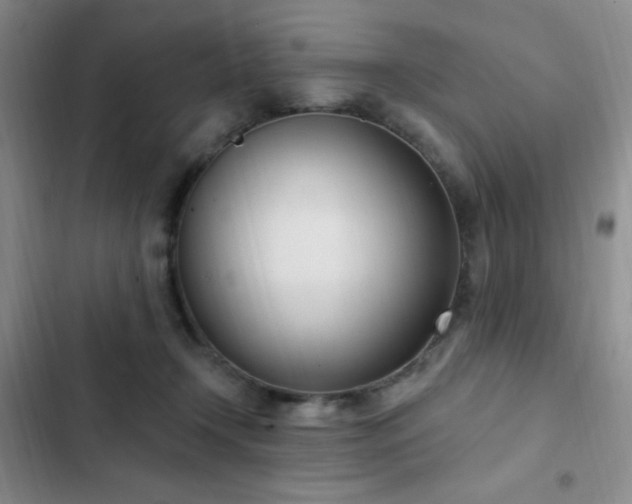 X0000103170366200808221240