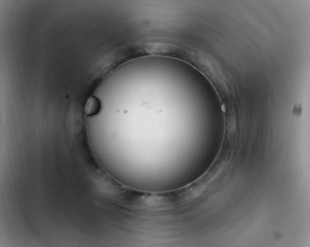 X0000103170367200808221240