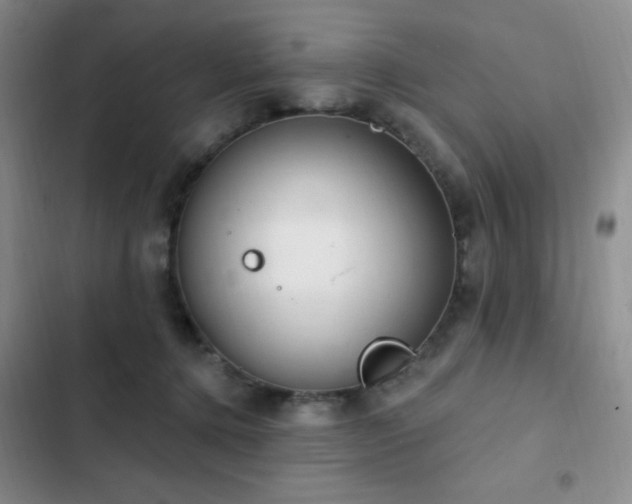 X0000103170368200808221240