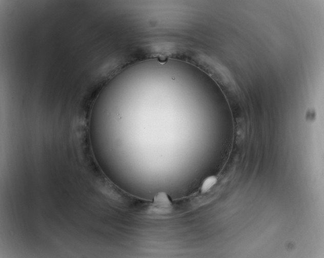 X0000103170369200808221240