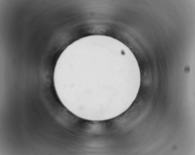 X0000103170370200808221240