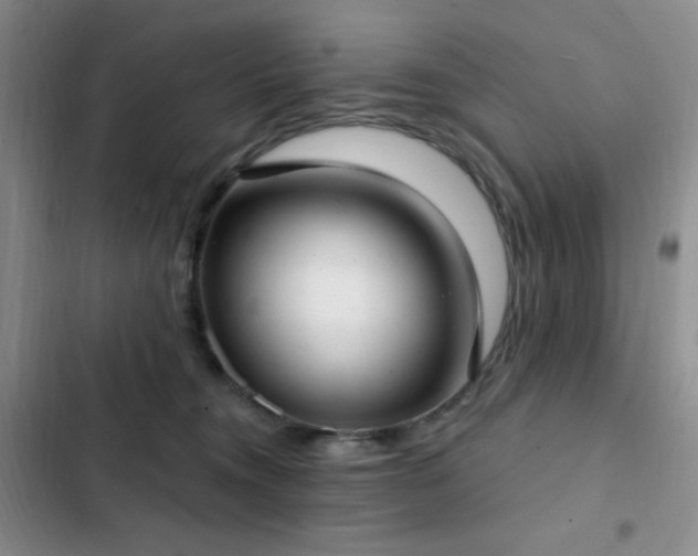 X0000103170372200808221240