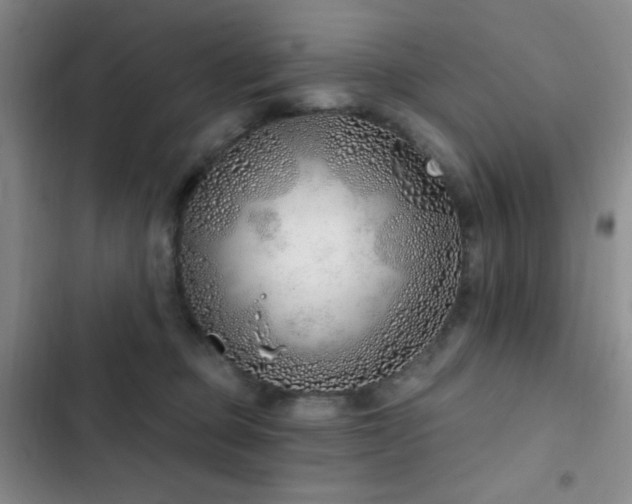 X0000103170373200808221240