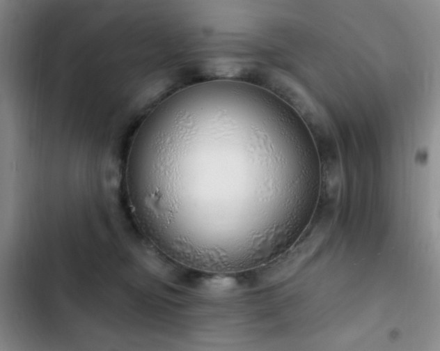 X0000103170374200808221240