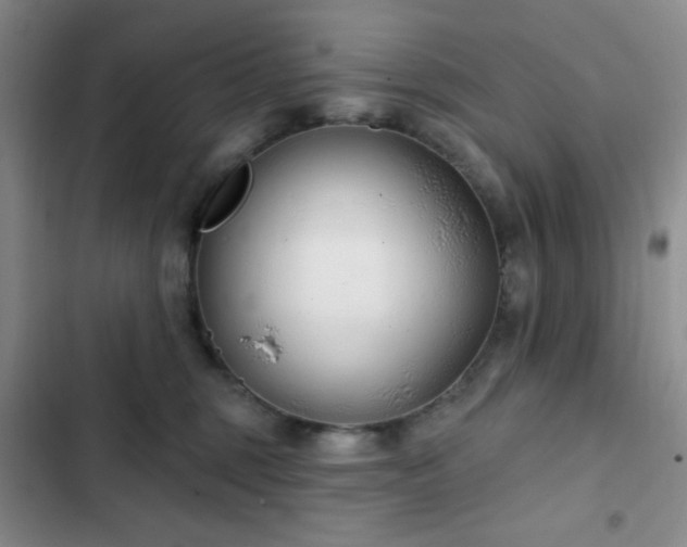 X0000103170375200808221240