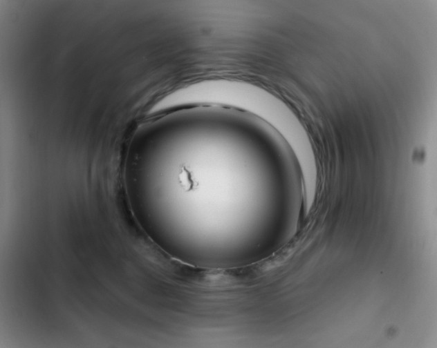 X0000103170376200808221240