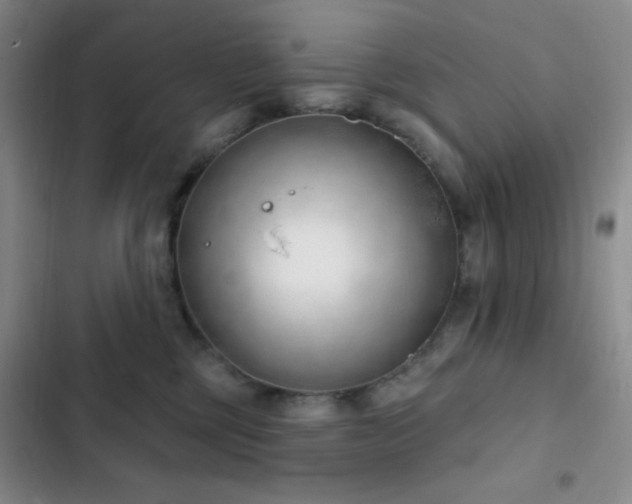 X0000103170377200808221240