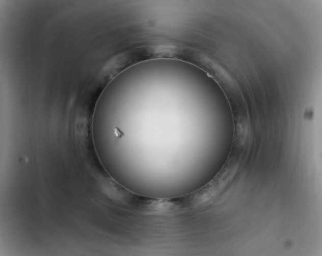 X0000103170379200808221240