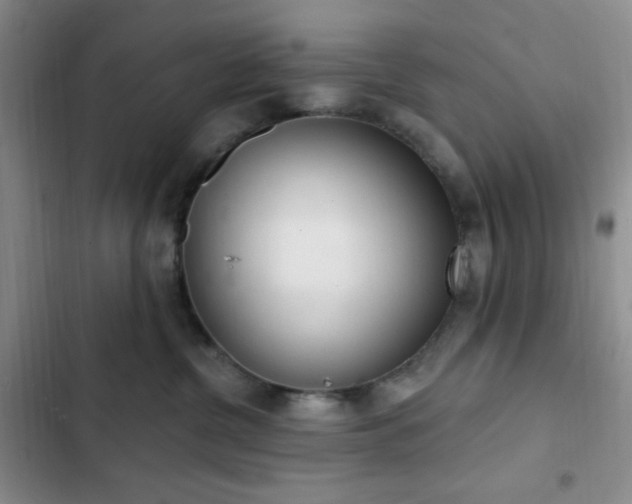 X0000103170380200808221240