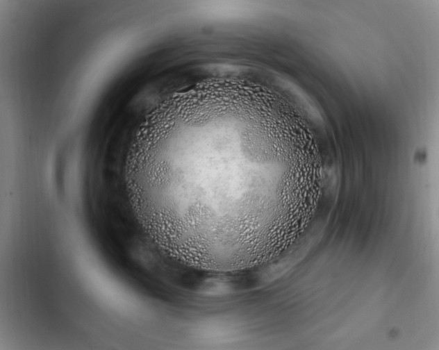 X0000103170381200808221240