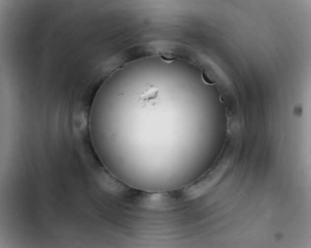 X0000103170382200808221240