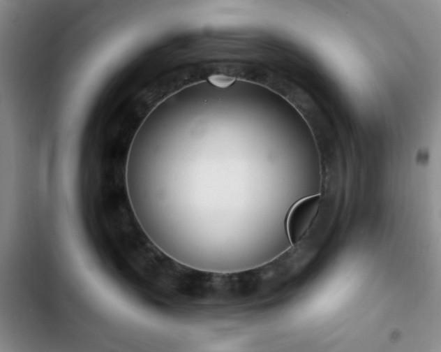 X0000103170383200808221240