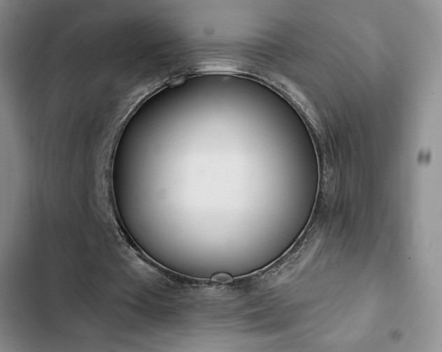 X0000103170385200808221239