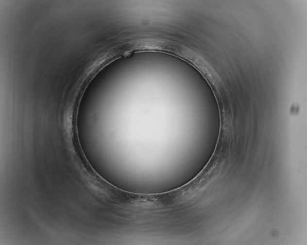 X0000103170386200808221239