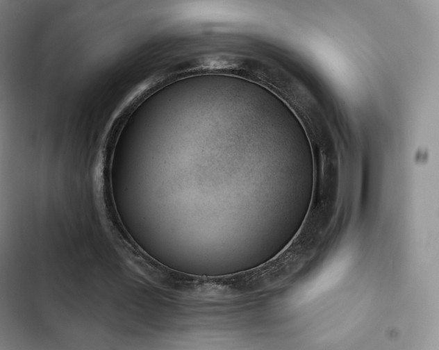 X0000103170387200808221239