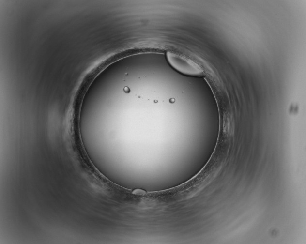 X0000103170388200808221239