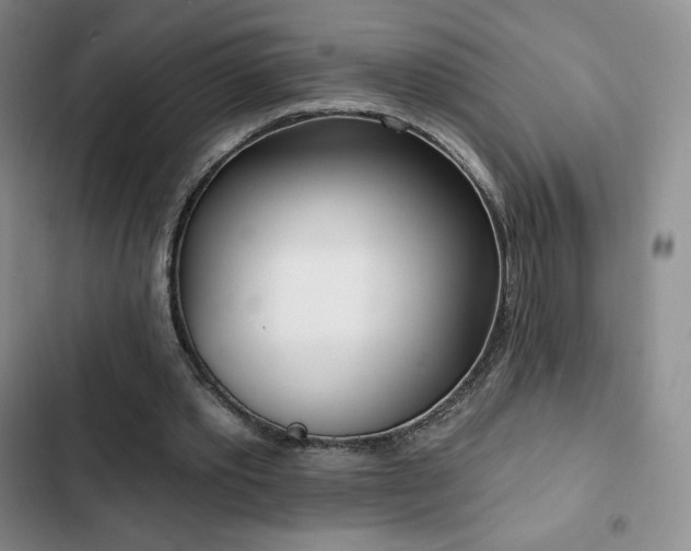 X0000103170389200808221239